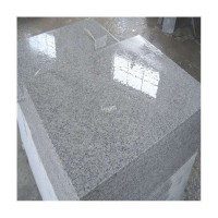 Top Quality Cheap Exterior Gray Granite Countertop Use Good Prices Gloor Staris Granite